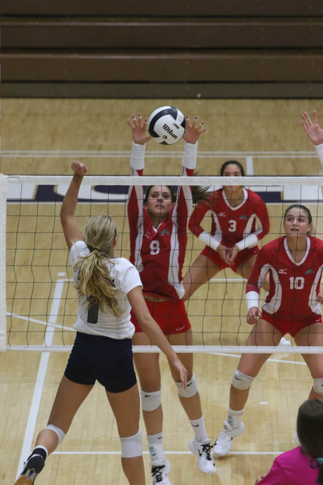 Gallery: Girls volleyball - Crown Point at Michigan City
